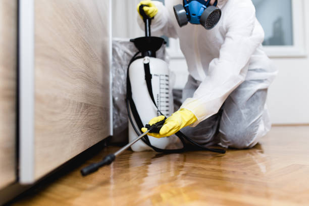 Best Affordable Pest Control Services  in Edgemere, MD