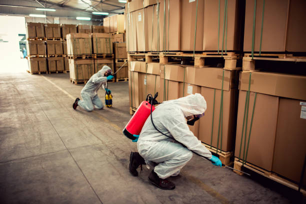 Best Mosquito Control Services  in Edgemere, MD