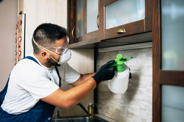 Best Rat Extermination Near Me  in Edgemere, MD