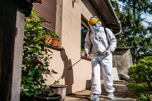 Best Bed Bug Extermination  in Edgemere, MD