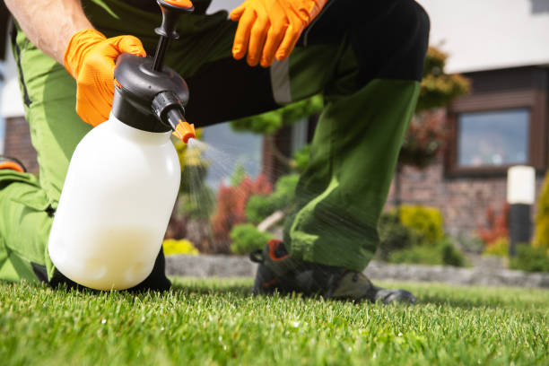 Best Exterminator Services  in Edgemere, MD