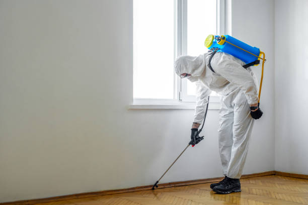 Best Best Pest Control Companies  in Edgemere, MD