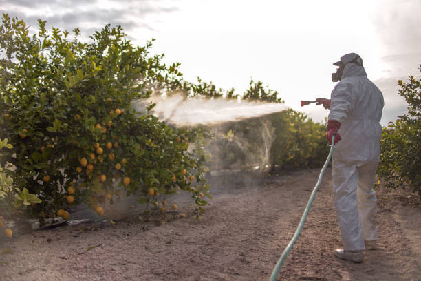 Pest Control Cost in Edgemere, MD