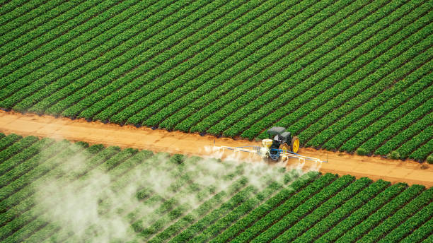 Best Pest Removal Services  in Edgemere, MD