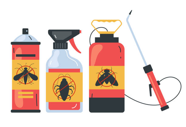 Best Spider Control Near Me  in Edgemere, MD