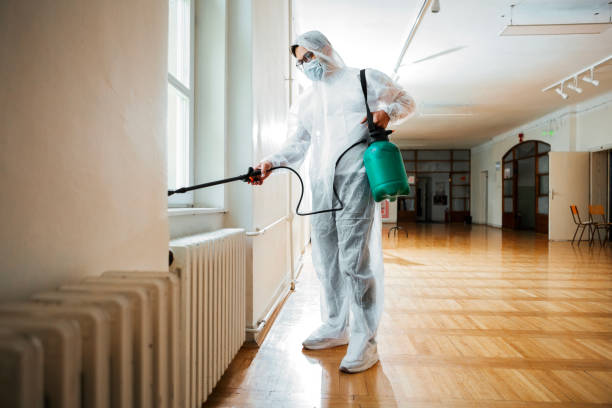Best Termite Control Services  in Edgemere, MD