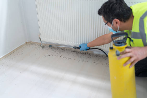Best Pest Control for Homes  in Edgemere, MD